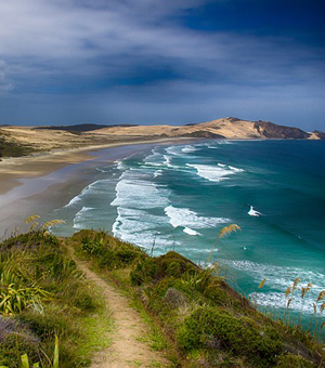 完美的在线DDOS平台攻击